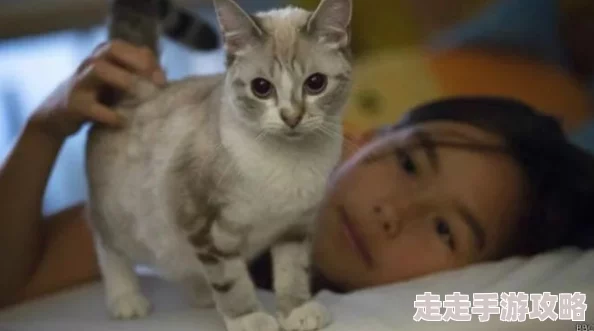 毛茸茸的猫咪在社交媒体上走红，吸引了大量粉丝和关注，成为宠物界的新星与网红
