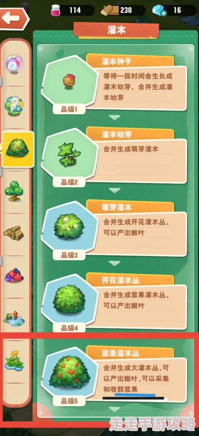 小森灵游戏攻略：全面解析如何高效获取灌木种子详细教程