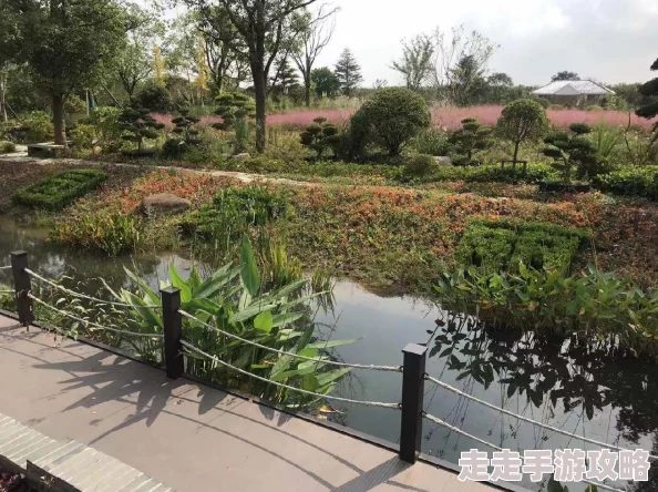 国产农村乱子伦精品视频：推动乡村振兴与可持续发展，助力农民增收致富的新路径探索与实践进展
