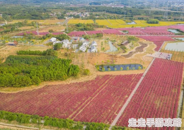 国产农村乱子伦精品视频：推动乡村振兴与可持续发展，助力农民增收致富的新路径探索与实践进展
