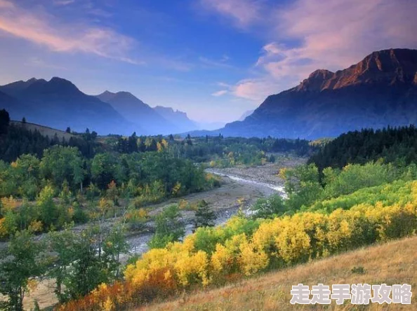 欧美xxxxhd高清极品：最新动态显示该系列作品在全球范围内持续受到热议，观众反馈积极，期待更多优质内容发布