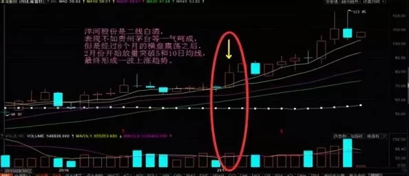 一线二线XⅩX殴美：全球市场震荡，投资者紧急应对新一轮经济风暴来袭！
