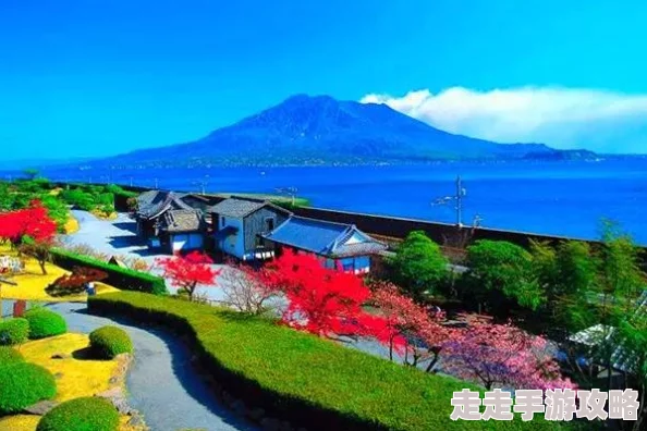 探索日本最美丽的自然风光与独特文化遗产之旅