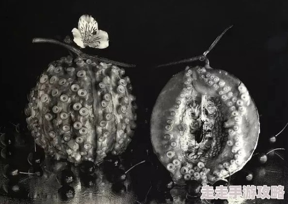 日本夏冰寒说：一级生活黄色片：最新动态揭示了该领域的变化与发展，引发了广泛关注和讨论，值得深入了解