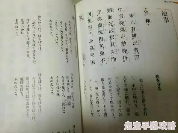 日本一级生活片，真实展现了日本人的日常生活，让人感受到浓厚的文化氛围