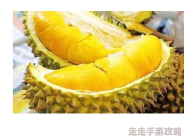 榴莲视频污在线观看，真是个有趣的平台，内容丰富多样，让人欲罢不能！