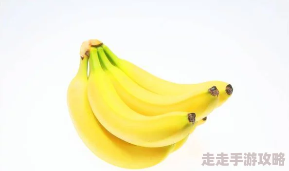 国产精品久久久天天影视香蕉