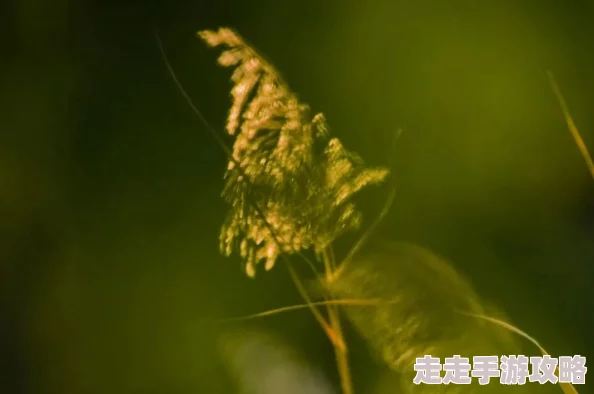 美女张开腿让男人桶下面最新进展消息引发广泛关注网友热议事件背后真相与相关法律问题亟待澄清