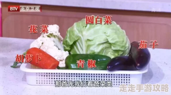 高h短篇辣肉各种姿势bl 健康生活方式的多样性探索