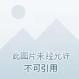 网友热评：天堂岛2全方位布局策略大揭秘，15段精髓指引助你高效打造梦幻岛屿乐园新体验！