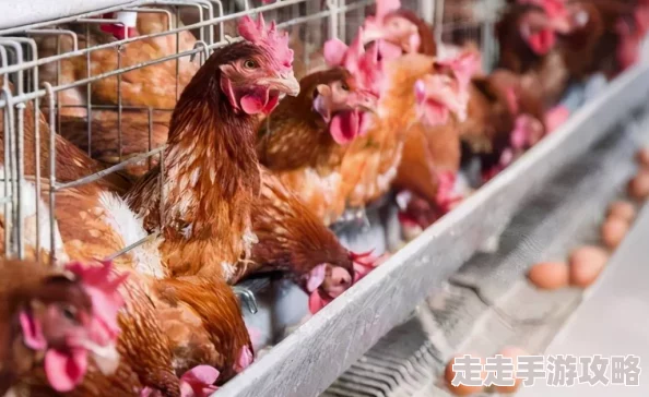 2024年必玩手机策略游戏大盘点！网友热评高质量策略游戏精选分享
