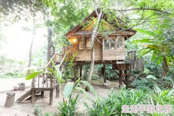 林中小屋隐匿何处？网友热议民宿钥匙揭秘，暗区突围探险记