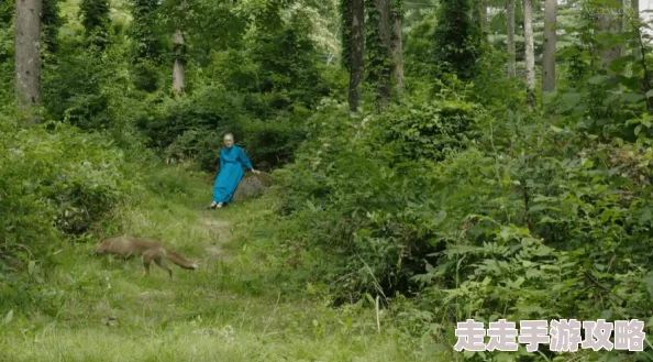 林中小屋隐匿何处？网友热议民宿钥匙揭秘，暗区突围探险记