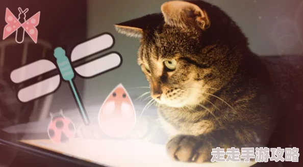 2024热门流浪猫游戏大盘点：网友力荐的猫猫主题手游精选大全及评价