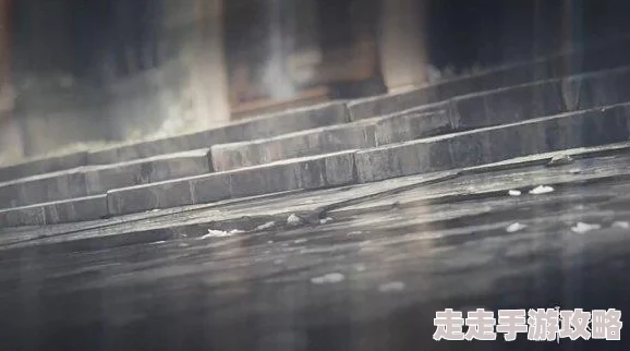 网友热评：花雨旋律官方下载地址及高速链接分享推荐
