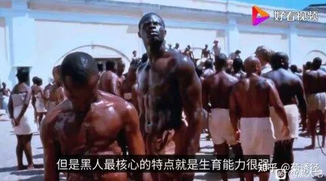 沦为黑人的精便器火舞风云心怀梦想勇敢追逐未来的光辉与希望