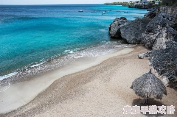 荷叶网高辣网Inang让我们携手共进，共创美好未来，传递爱与希望