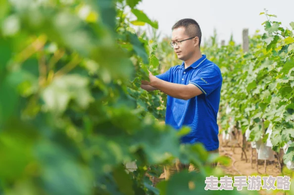 碰碰超我在中国当农人播种希望收获未来努力奋斗创造美好生活