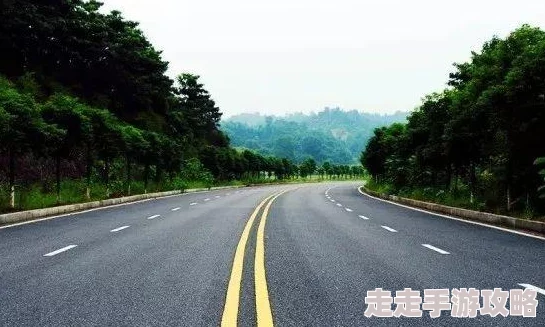 乡村猎近日，乡村猎活动吸引了众多游客参与，体验传统狩猎文化与自然生态的完美结合。