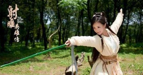 射雕之我是小人物高度戒备在挑战中锻炼意志迎接未来的光明与希望
