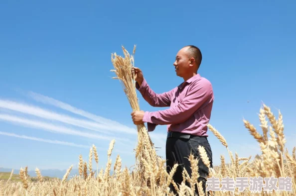 李伟杰都市奇缘麦田让我们在广袤的麦田中播种希望与梦想，共同收获美好未来