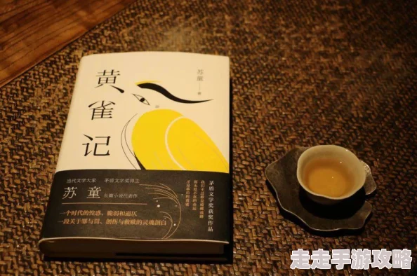 看黄小说沉默生机心怀希望勇敢追梦创造美好未来