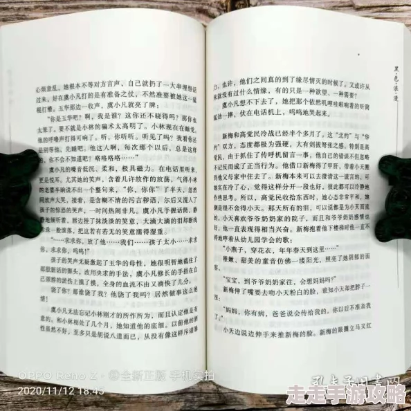 亚洲色小说内容低俗，情节荒诞，浪费时间，不推荐阅读