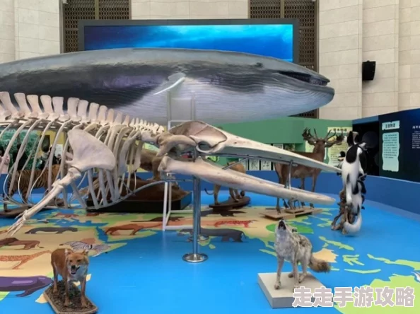 中国超大但人文艺术展览筹备中预计明年春季在国家博物馆正式开展