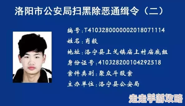 惊喜揭秘！如果的世界通缉令玩法全攻略，解锁隐藏奖励与独家技巧大放送！