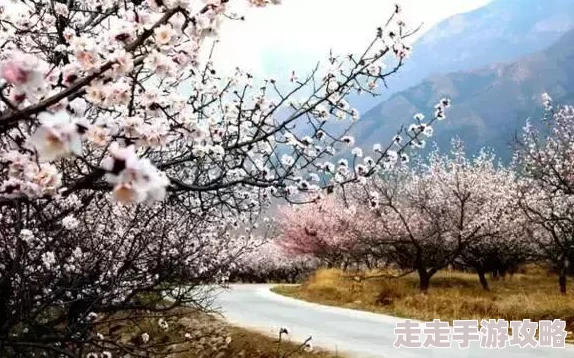 桃花坳韵事知情人爆料桃花坳竟是旧时私奔胜地多位富商曾携佳人隐居于此