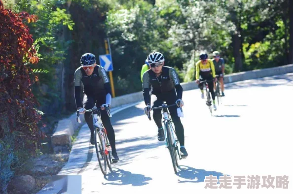 2024经典耐玩自行车游戏大揭秘！趣味无限，下载榜单全曝光