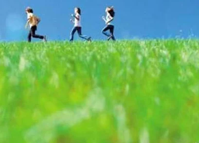 草草草操操操近期网络热传的“草草草操操操”实为生僻字组合